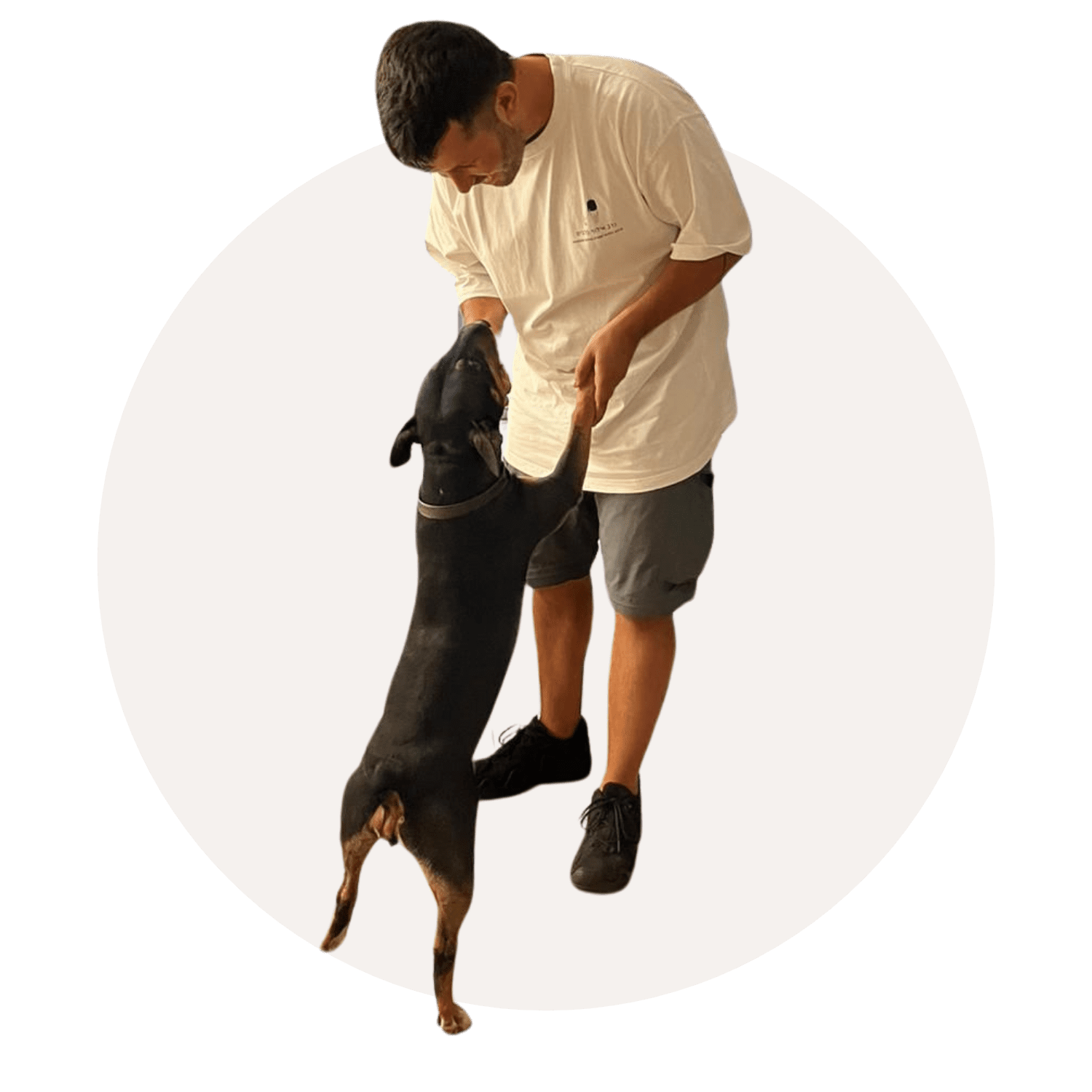 nadav | dog trainer